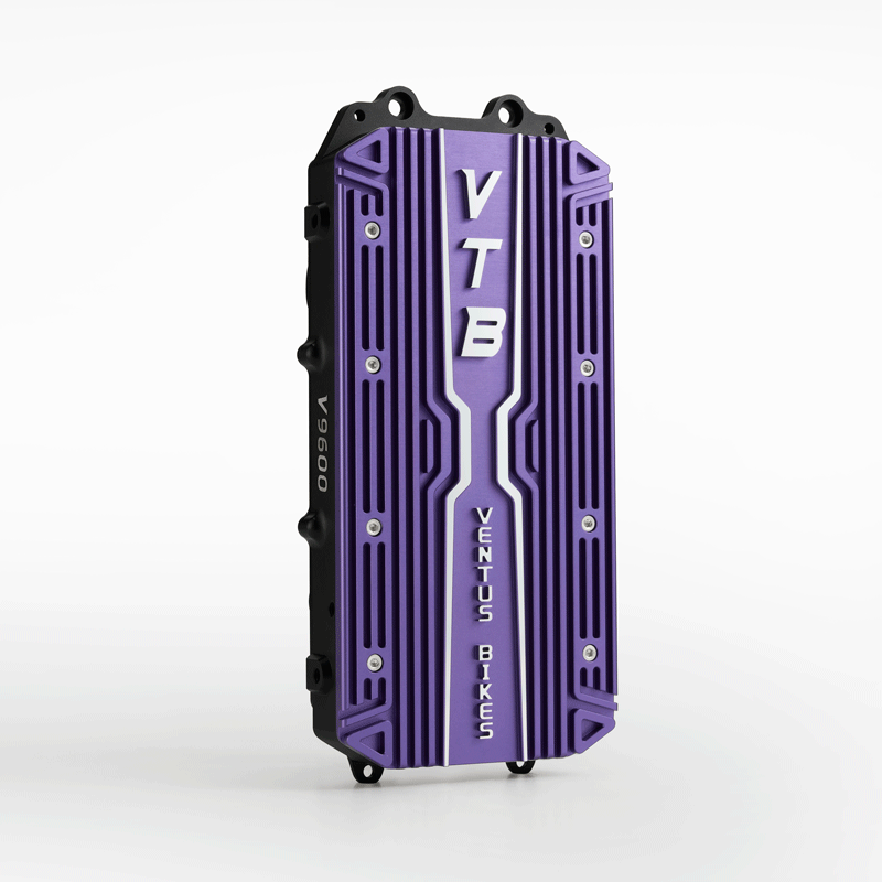 VTB V9600 CONTROLLER FOR SURRON LIGHT BEE X