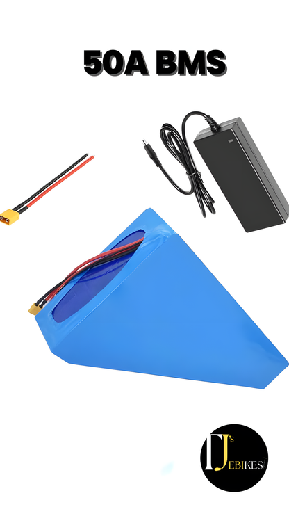 48v 20ah 50A triangle E-bike battery